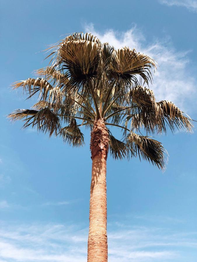 Villa Fernweh - Delta De L'Ebre Riumar Dış mekan fotoğraf