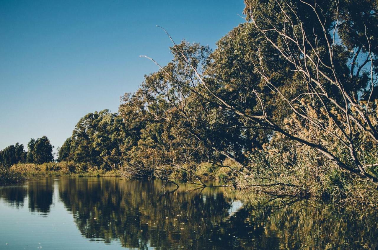 Villa Fernweh - Delta De L'Ebre Riumar Dış mekan fotoğraf