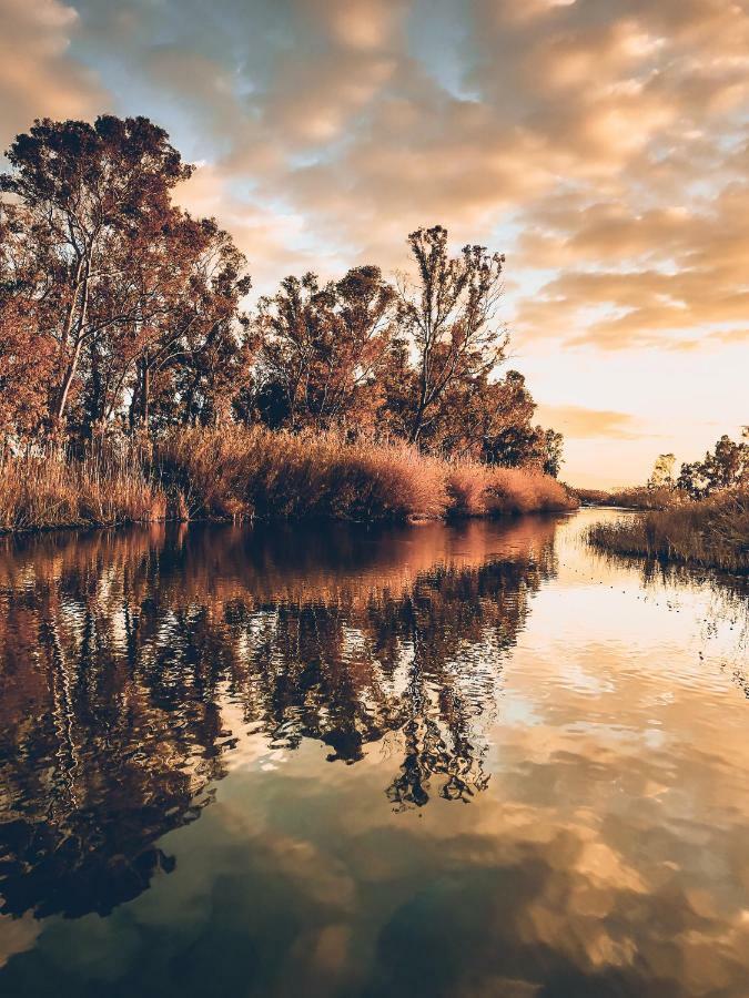 Villa Fernweh - Delta De L'Ebre Riumar Dış mekan fotoğraf