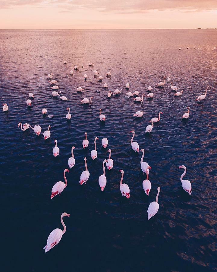 Villa Fernweh - Delta De L'Ebre Riumar Dış mekan fotoğraf